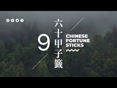 龍虎相隨在深山轉職